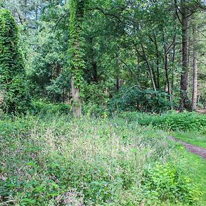 Huiske Oan T Bos